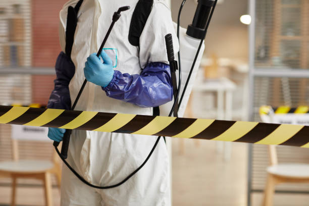 Professional Sewage Cleanup technician working in Ridgeville, IN